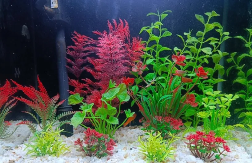 Plantes Artificielle pour Aquarium et Terrarium, 11 Pièces, Plante de Décoration (PlantF)