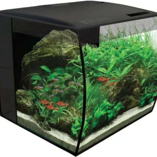 Test Fluval Flex 34L : un petit bac design qui fait (globalement) le job