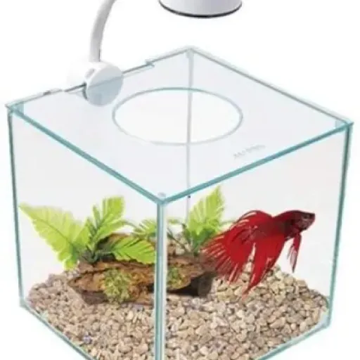 Test Marina Aquarium Betta Kit Cubus 3,4 L : joli petit cube, mais pas un palace pour poisson