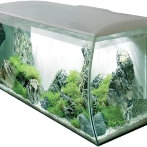 Test Fluval Flex Aquarium d'eau Douce 123 l Blanc : un bac plug & play pour débuter proprement