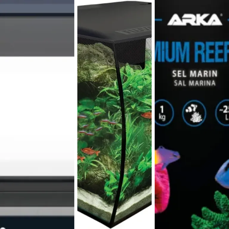 28 meilleurs aquariums nano : notre comparatif (août 2026)