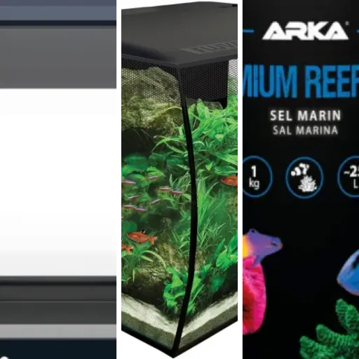 9 meilleurs aquariums nano : notre comparatif (février 2026)