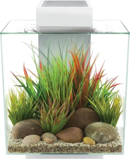 91UPYMi7joL._AC_SL1500_