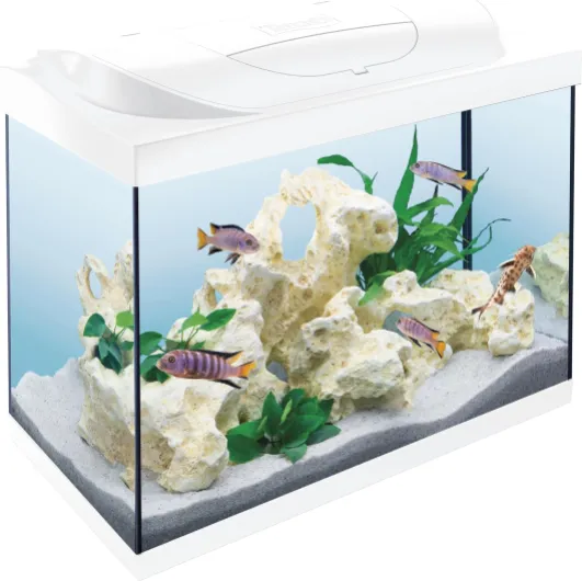 Starter Line LED White 80L