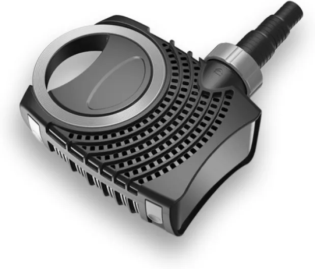 61bjnwvggNL._AC_SL1000_