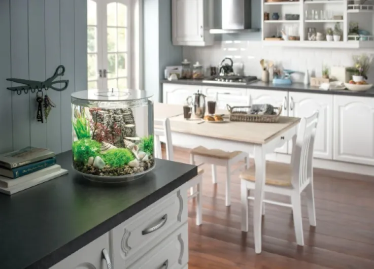 BiOrb Aquarium Tube 15 (Blanc, 15 litres), Parfait pour débutants avec lumières LED intégrées, Rapide et Facile à Installer, Vue à 360 degrés avec système de Filtration en 5 étapes, Base en Acrylique blanc 15 Litres