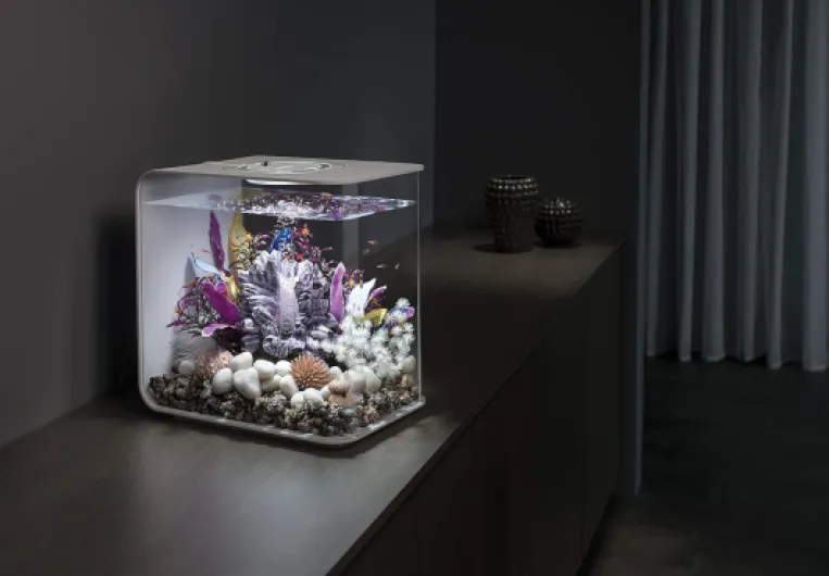 BiOrb Flow Aquarium Compact Moderne en Acrylique de 15 litres avec lumières LED Multicolores télécommandées pour Dessus de Table ou de Bureau, Blanc Blanc avec éclairage MCR 4 Gallon