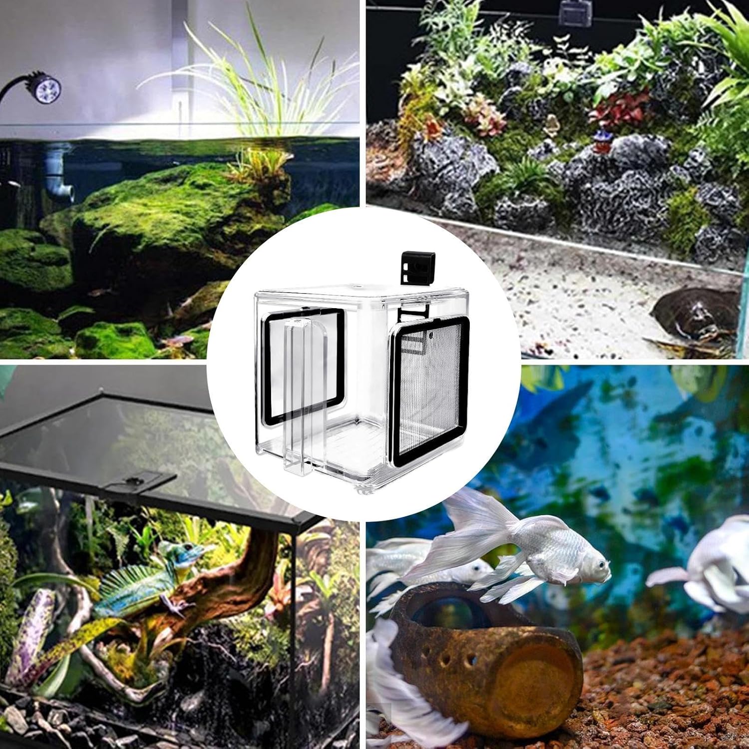 Boîte D'Élevage Poisson - 15cm Acrylique - Diviseur De Reproduction en - Séparateur Alvins pour Bac - Transparent - Accessoire Isolation Éclosion avec Crevette Eau Douce Guppy - Bébés Petite