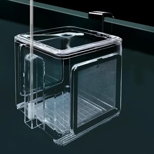 71c1Kx2YUQL._AC_SL1500_