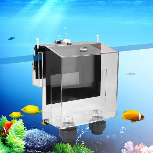 71w1i6dqSbL._AC_SL1500_