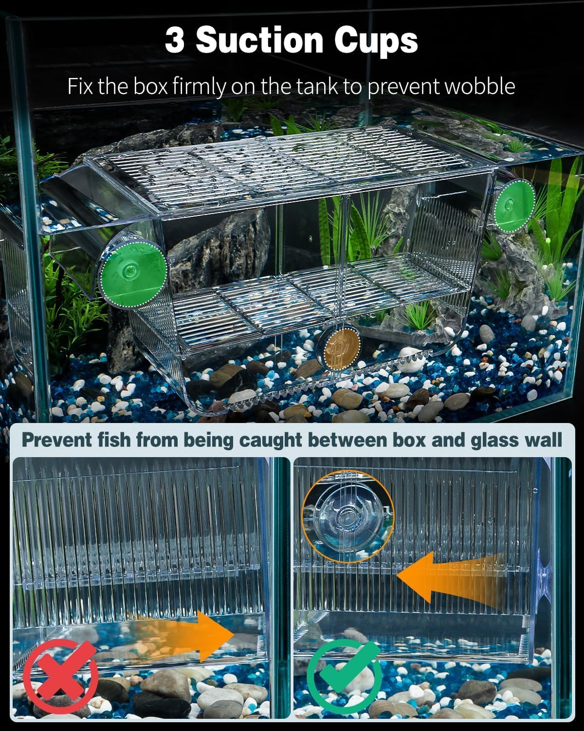 Incubateur Aquarium Acrylique pour Bébés Poissons Crevettes Betta, Grande Boîte d'Acclimatation pour Poissons Agressifs Guppy Platy L (17,3 x 10 x 10 cm)