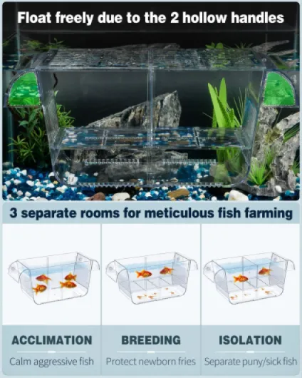 81jzCiCxuvL._AC_SL1500_