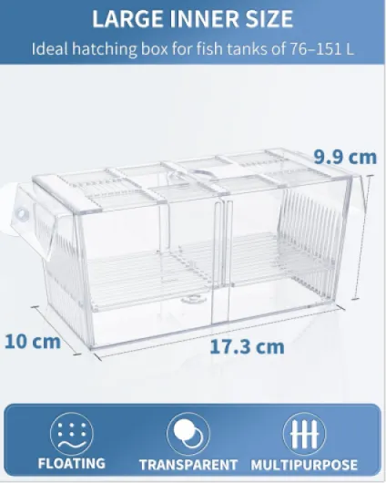 71kgGR Nd3L._AC_SL1500_