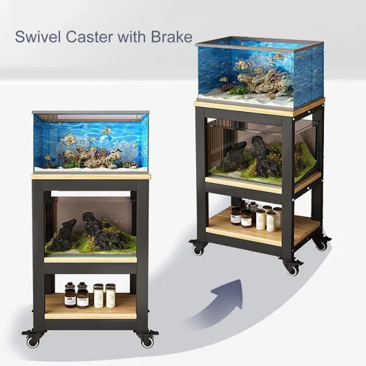 71taYsjLzRL._AC_SL1500_