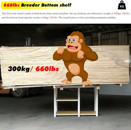 71pdlrqENHL._AC_SL1500_