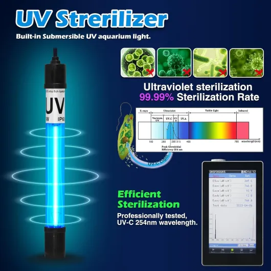 71rih29zjXL._AC_SL1500_