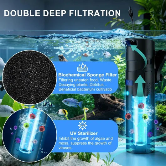 812BGwVT5jL._AC_SL1500_