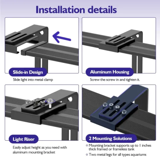 71yQ8iF kvL._AC_SL1500_