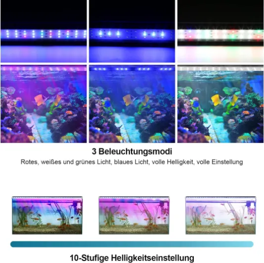 810BkjNtqPL._AC_SL1500_