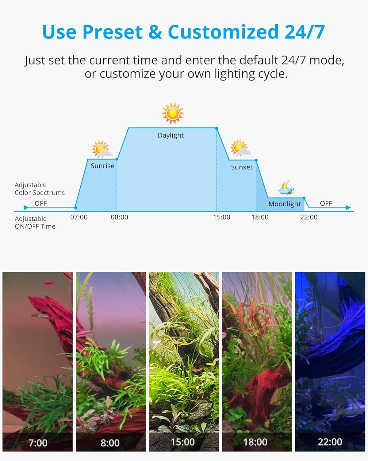RGB+W 24/7 Rampe LED Aquarium, Éclairage LED Étanche à Spectre Complet avec la Fonction Minuterie pour Plantes d’Aquarium, 30-42 cm, 12 W, 600 LM