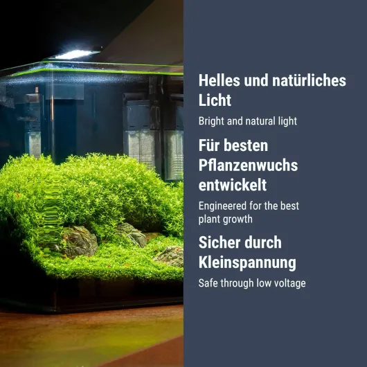 81d9-jLyEbL._AC_SL1500_