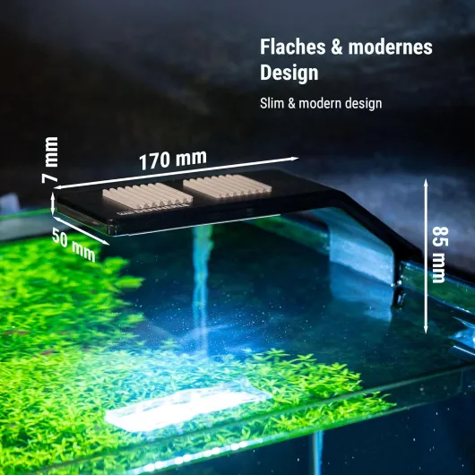 81hhPiS-AGL._AC_SL1500_