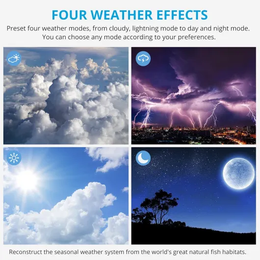 81oihPmca6L._AC_SL1500_