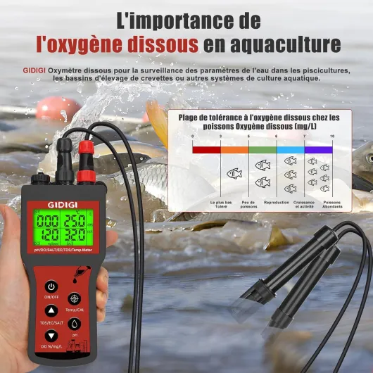 81IDfNHtoPL._SL1500_