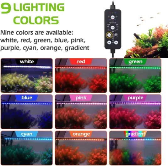 81VdF gvPXL._AC_SL1500_