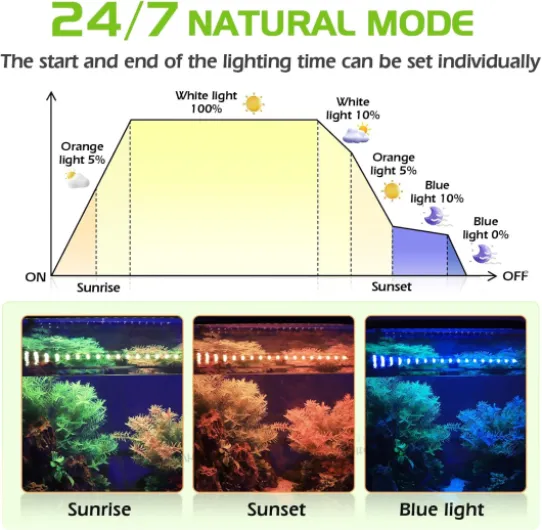 71CXCyo1-oL._AC_SL1500_