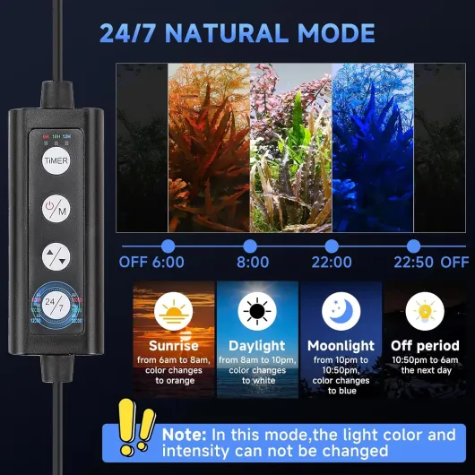 81qTxLroVGL._AC_SL1500_