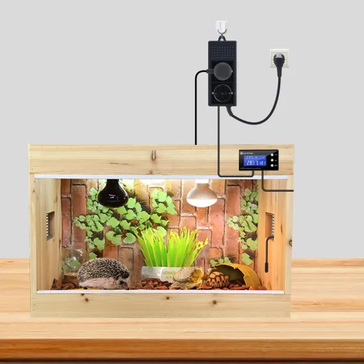 71TVAOc5bgL._AC_SL1500_