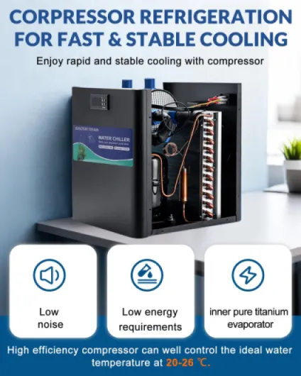 71EGTrrHtVL._SL1500_