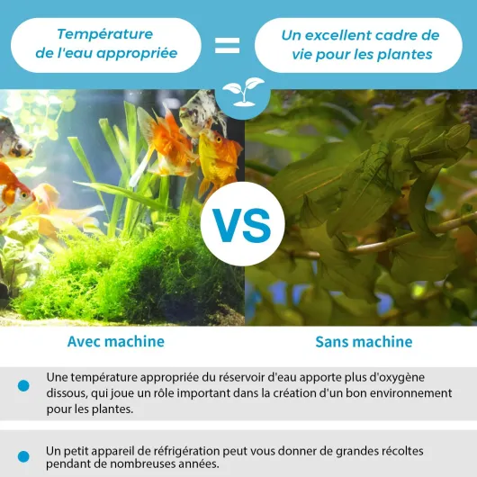 71RLdEN1CSL._AC_SL1500_