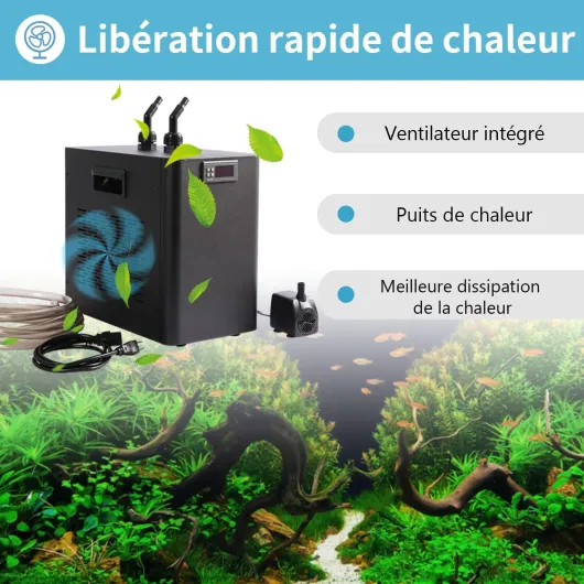 71fY4BGFqWL._AC_SL1500_