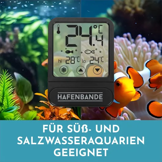 81PZ Tcf6NL._SL1500_