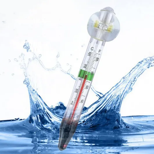 61wTm77C0-L._SL1001_