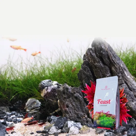 71Gmu92HZvL._AC_SL1500_