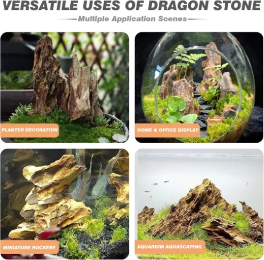 81X1xXyu7lL._AC_SL1500_