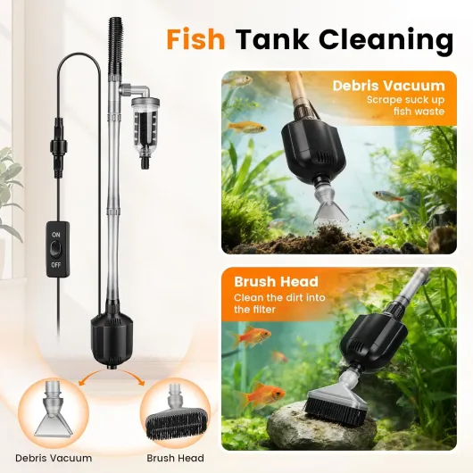 71fPrqa6LBL._AC_SL1500_