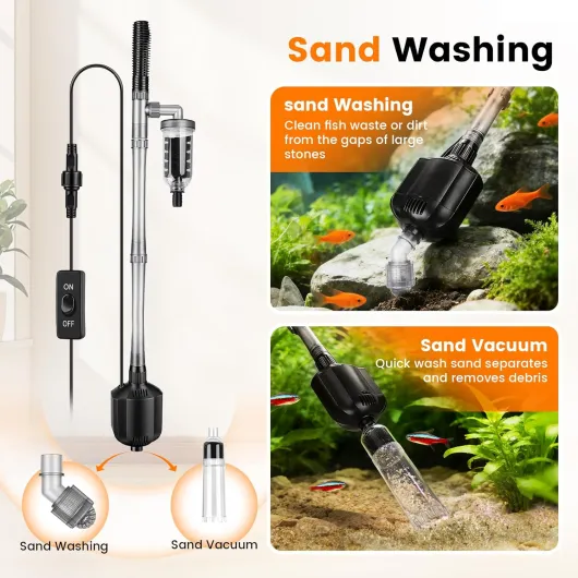 71et8hiTgtL._AC_SL1500_