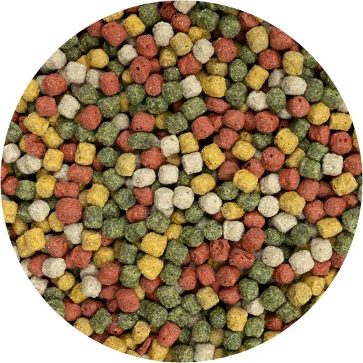 91o8v M5zjL._AC_SL1500_