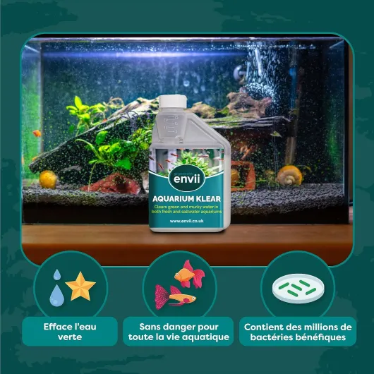 91ynnqsbvDL._AC_SL1500_