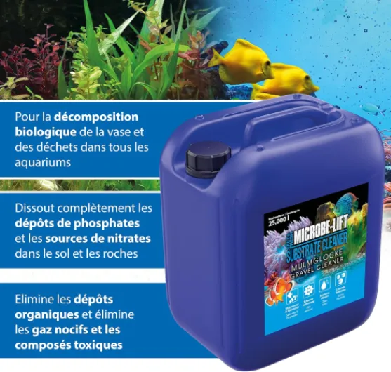 81M gBxtQSL._AC_SL1500_