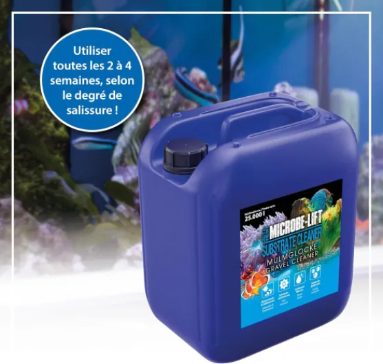 81ALKGWyncL._AC_SL1500_