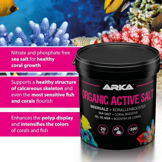 81DyRA60t3L._AC_SL1500_