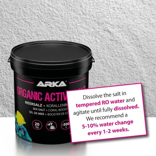 91S8UHYpYkL._AC_SL1500_