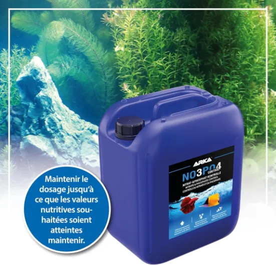 91gDPVUlu3L._AC_SL1500_