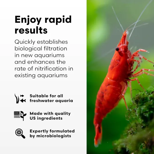 714qWjkq7uL._AC_SL1500_