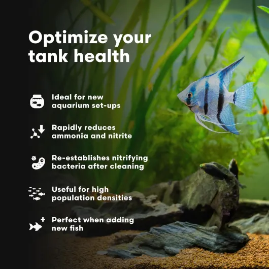 81tF2dpddsL._AC_SL1500_